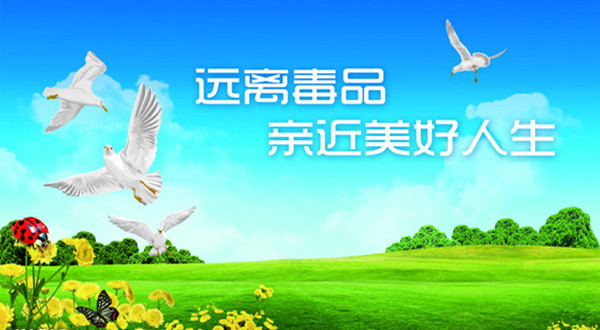 4310335_115843058083_2_副本.jpg